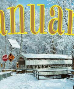 Here is a curated list of must-buy items on UK Amazon for January 2026: