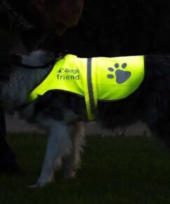 Reflective dog vest