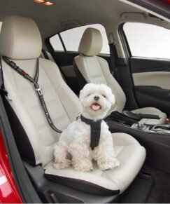 Dog car seat belt