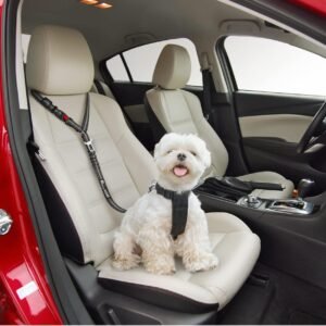 Read more about the article Dog car seat belt