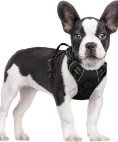 Rabbitgoo Dog Harness