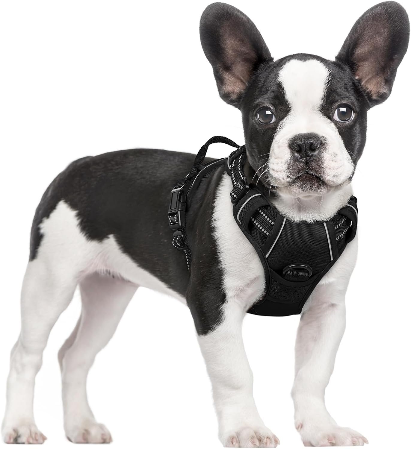 You are currently viewing Rabbitgoo Dog Harness